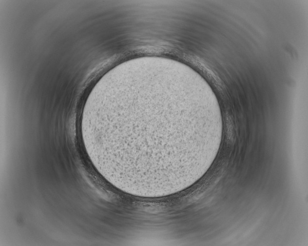X0000111010486200907311054