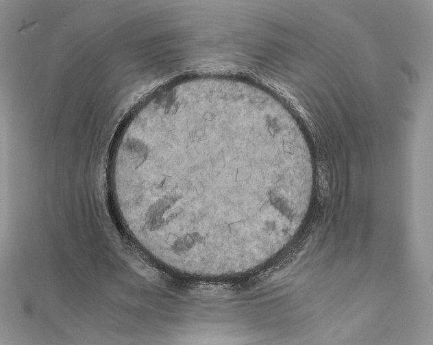 X0000111010487200907311054
