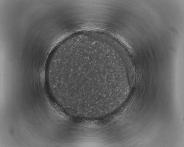 X0000111010488200907311054