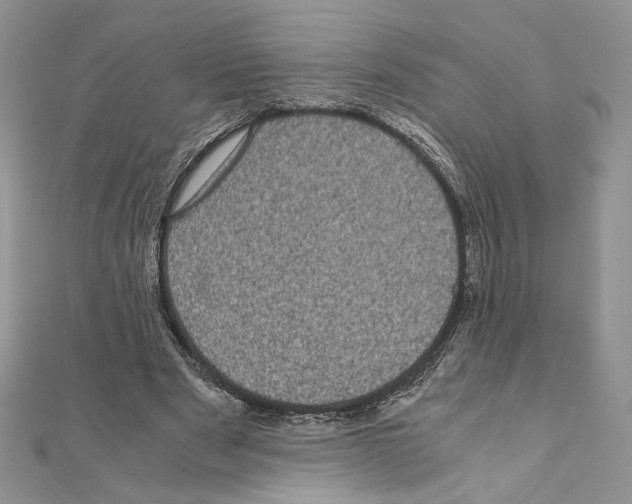 X0000111010489200907311054