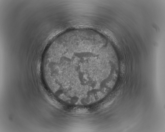 X0000111010491200907311054