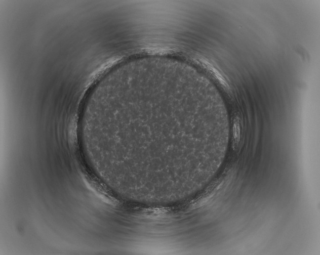 X0000111010492200907311054