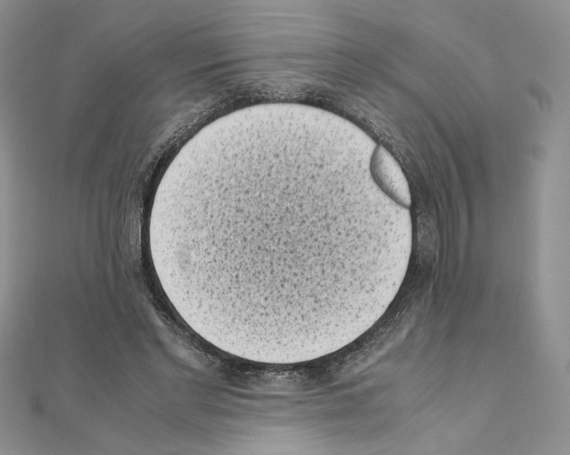 X0000111010493200907311054