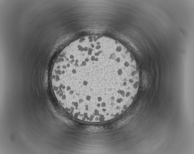 X0000111010494200907311054