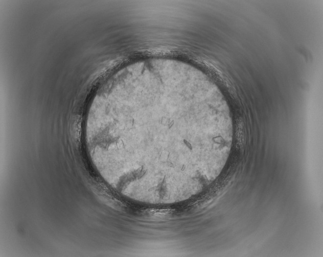 X0000111010495200907311054