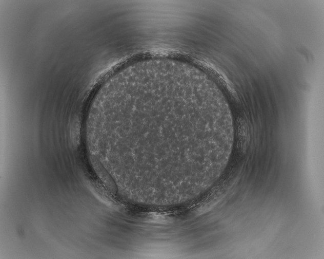 X0000111010496200907311054