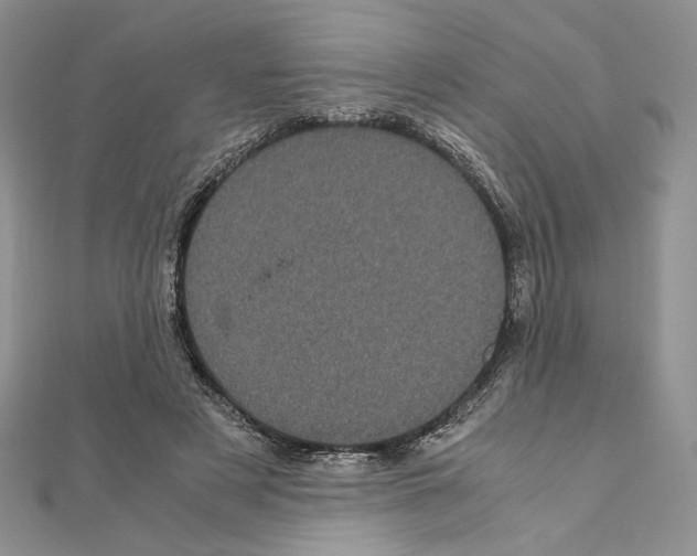X0000111010497200907311054