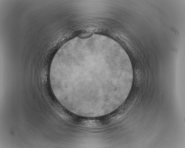 X0000111010499200907311054