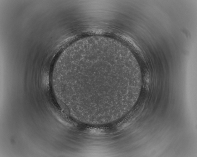 X0000111010500200907311054
