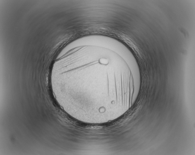 X0000111010501200907311054