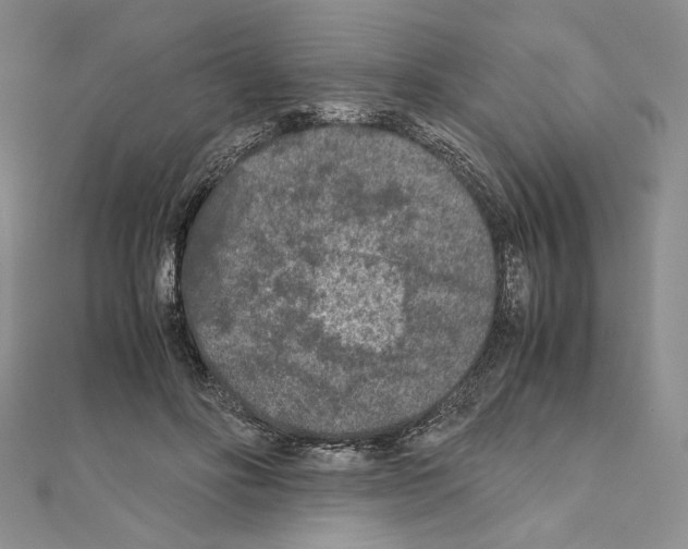 X0000111010502200907311054