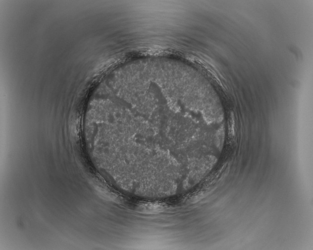 X0000111010503200907311054