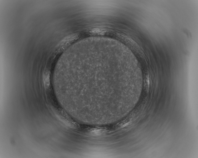 X0000111010504200907311054