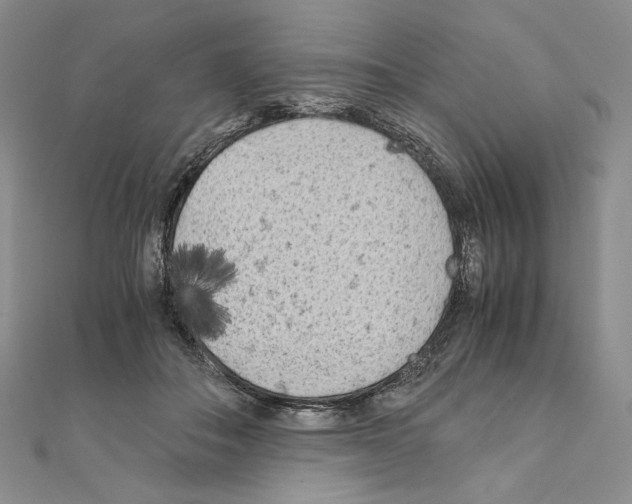 X0000111010506200907311054