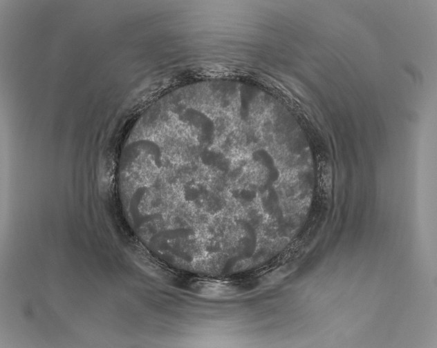 X0000111010507200907311054