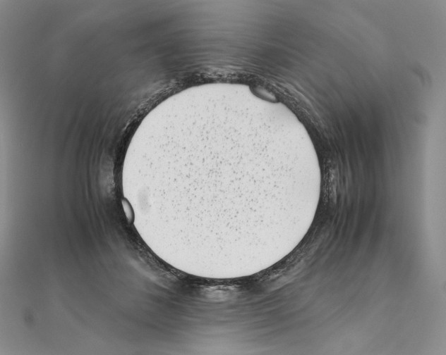 X0000111010508200907311054