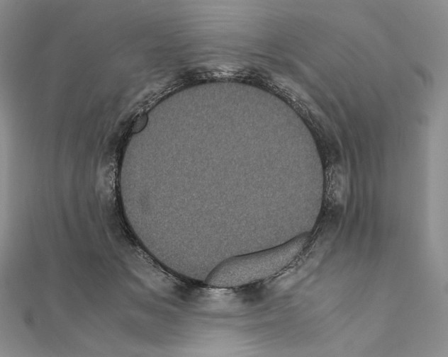X0000111010509200907311054