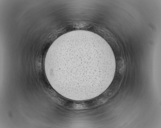 X0000111010510200907311054