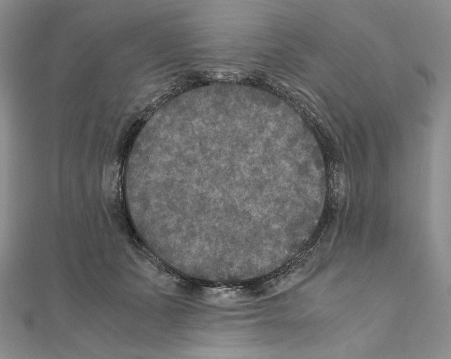 X0000111010511200907311054