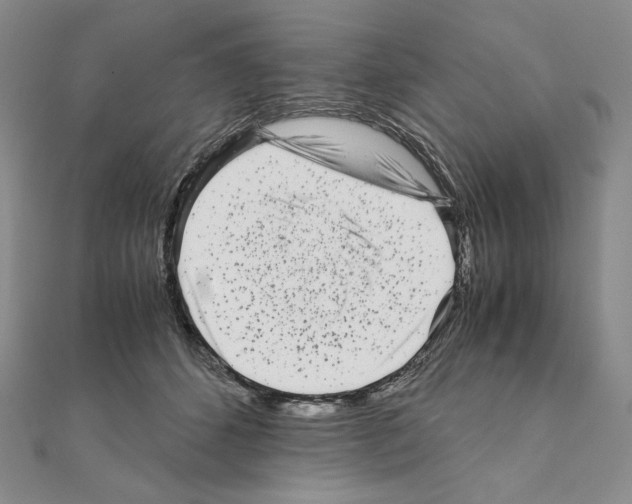 X0000111010512200907311054