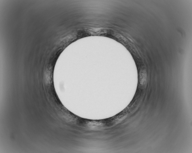 X0000111010515200907311054