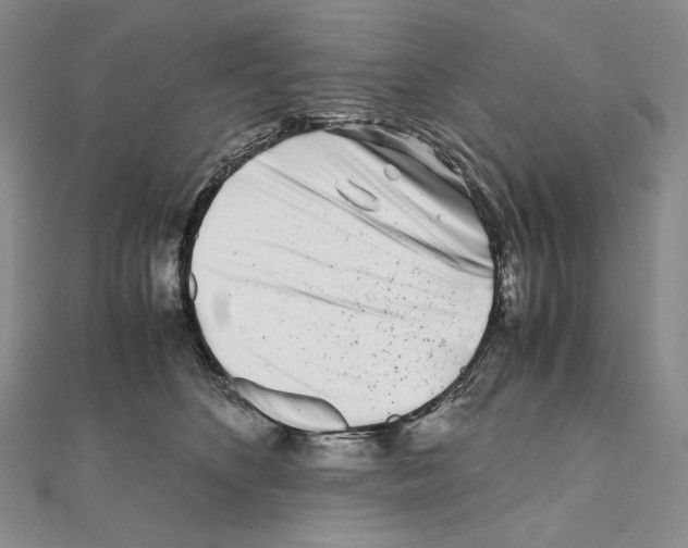 X0000111010516200907311054