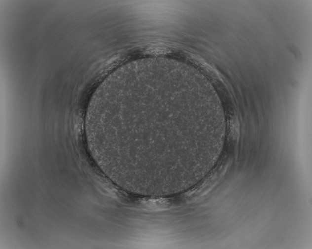 X0000111010517200907311054