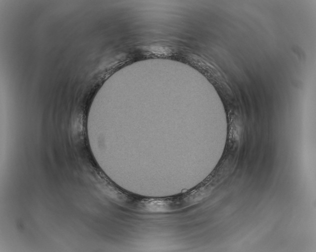 X0000111010518200907311054