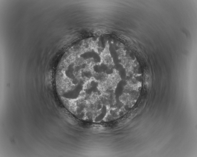 X0000111010519200907311054
