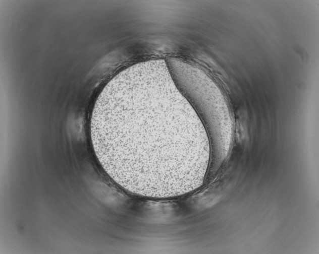 X0000111010520200907311054