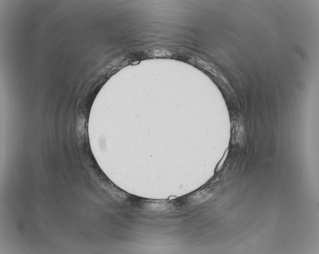 X0000111010521200907311054