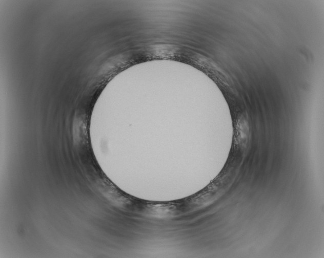 X0000111010522200907311054