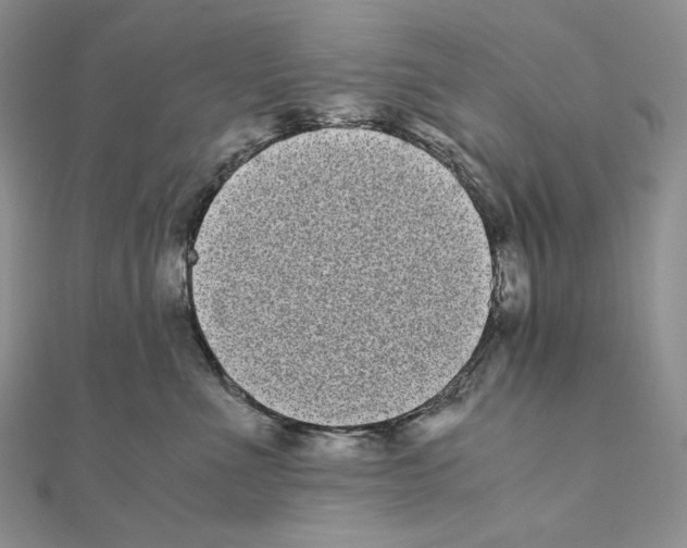 X0000111010523200907311054