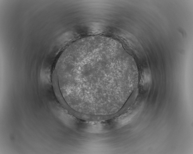 X0000111010524200907311054