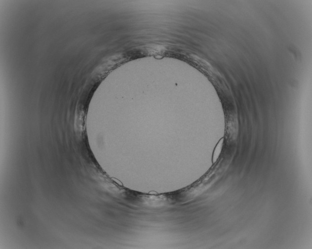 X0000111010525200907311054