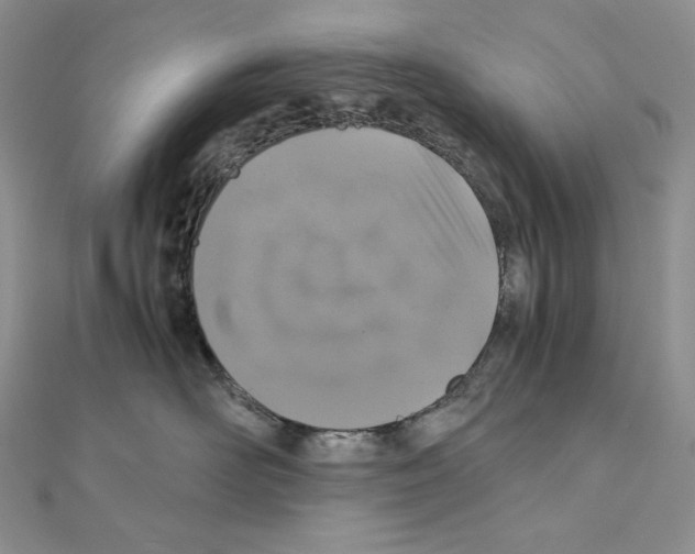 X0000111010526200907311054