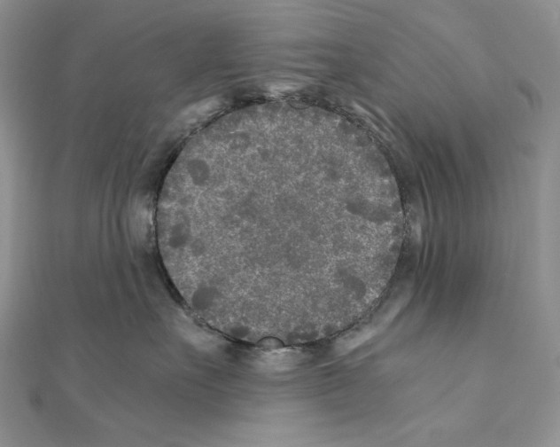 X0000111010527200907311054