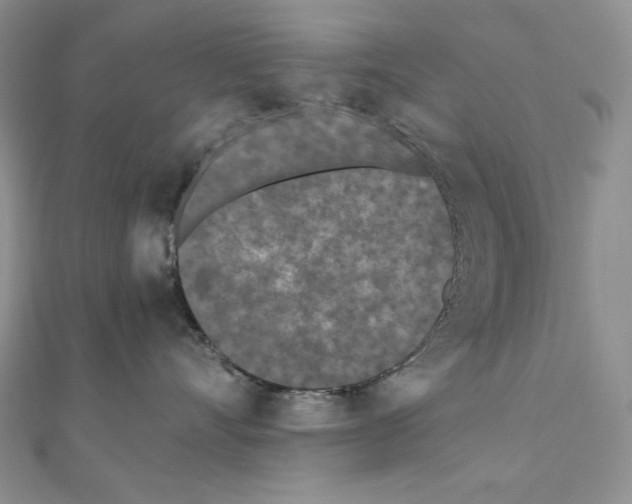X0000111010528200907311054