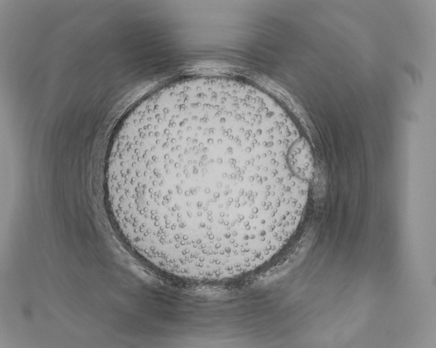 X0000111010529200907311053
