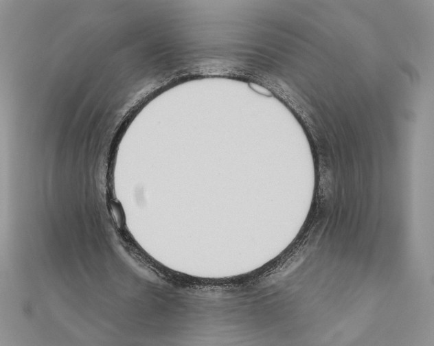 X0000111010530200907311053