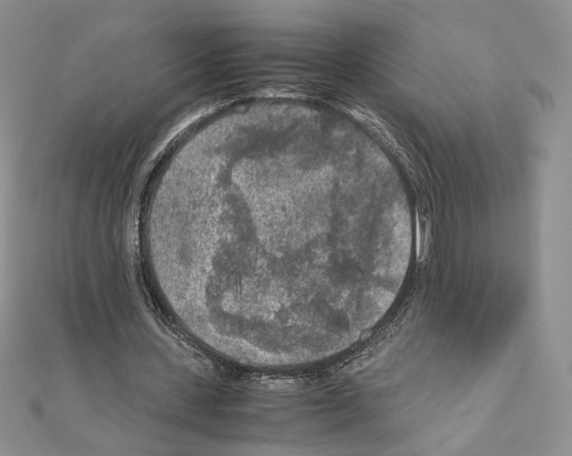 X0000111010531200907311053