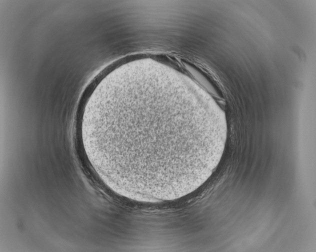 X0000111010532200907311053