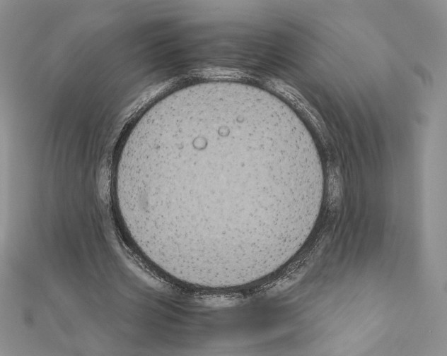 X0000111010533200907311053