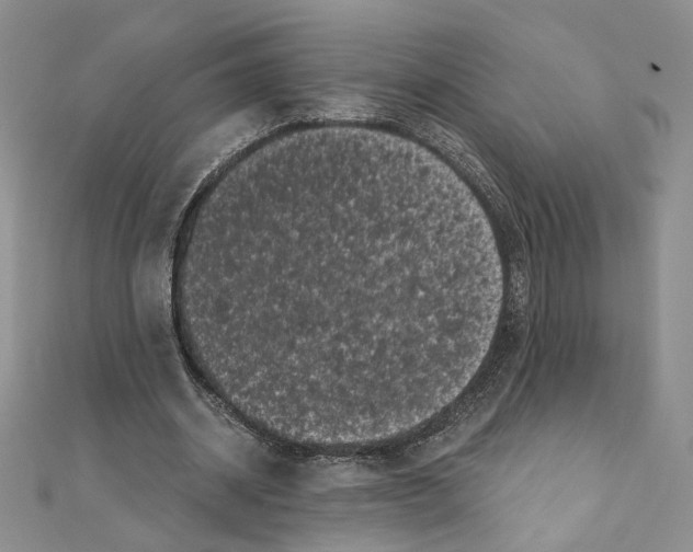 X0000111010534200907311053