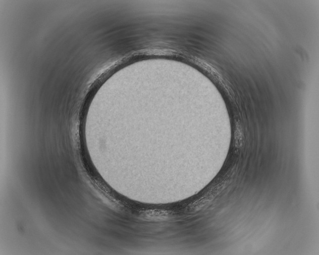 X0000111010535200907311053