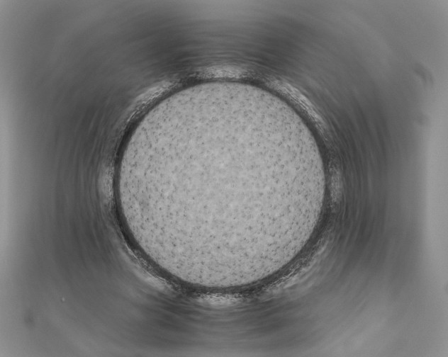 X0000111010537200907311053