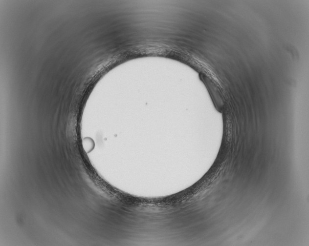X0000111010538200907311053