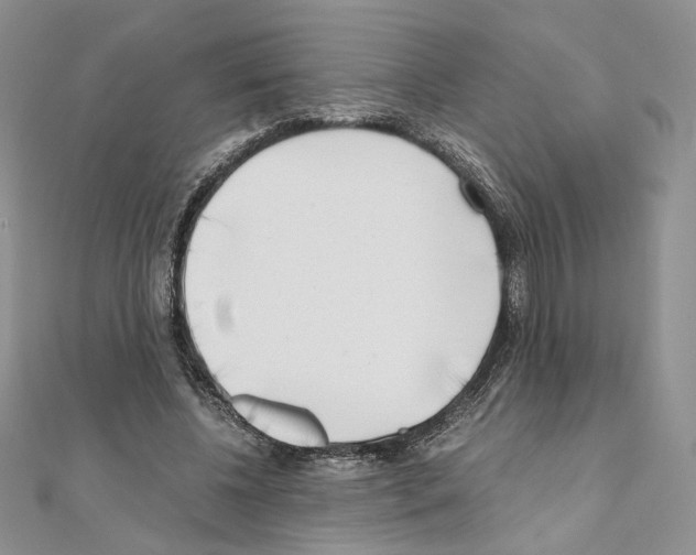 X0000111010540200907311053