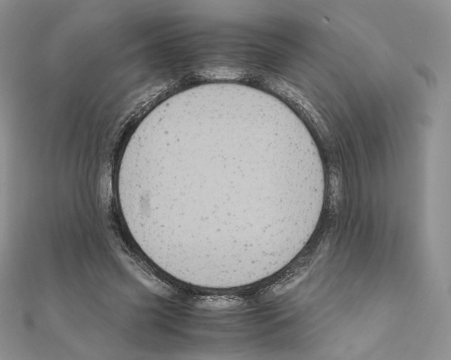 X0000111010541200907311053