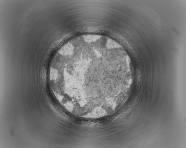 X0000111010542200907311053